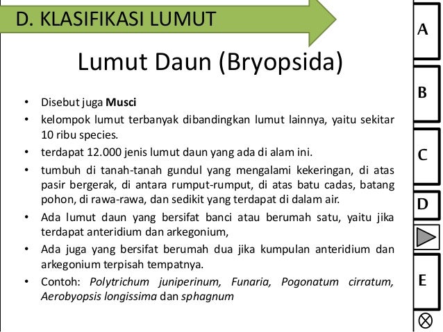 BIOLOGI Lumut by XGSc IIHS Marini C Nadya A Disty S 