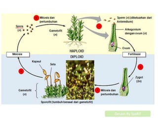 Desain By SyaRif
Desain By SyaRif
 