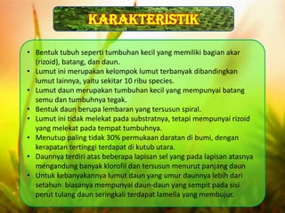 Karakteristik
                     Desain By SyaRif



• Bentuk tubuh seperti tumbuhan kecil yang memiliki bagian akar
  (rizoid), batang, dan daun.
• Lumut ini merupakan kelompok lumut terbanyak dibandingkan
  lumut lainnya, yaitu sekitar 10 ribu species.
• Lumut daun merupakan tumbuhan kecil yang mempunyai batang
  semu dan tumbuhnya tegak.
• Bentuk daun berupa lembaran yang tersusun spiral.
• Lumut ini tidak melekat pada substratnya, tetapi mempunyai rizoid
  yang melekat pada tempat tumbuhnya.
• Menutup paling tidak 30% permukaan daratan di bumi, dengan
  kerapatan tertinggi terdapat di kutub utara.
• Daunnya terdiri atas beberapa lapisan sel yang pada lapisan atasnya
  mengandung banyak klorofil dan tersusun menurut panjang daun
• Untuk kebanyakannya lumut daun yang umur daunnya lebih dari
  setahun biasanya mempunyai daun-daun yang sempit pada sisi
  perut tulang daun seringkali terdapat lamella yang membujur.
 