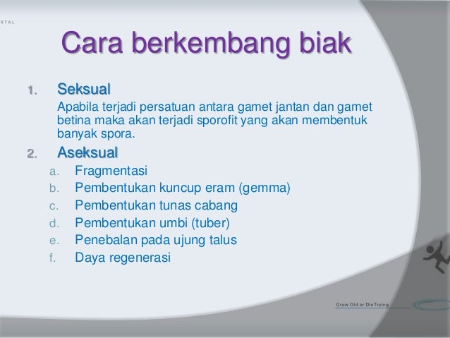 Lumut Hati Dan Lumut Tanduk