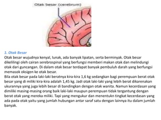 1. Otak Besar 
Otak besar wujudnya kenyal, lunak, ada banyak lipatan, serta berminyak. Otak besar 
dikelilingi oleh cairan serebrospinal yang berfungsi memberi makan otak dan melindungi 
otak dari guncangan. Di dalam otak besar terdapat banyak pembuluh darah yang berfungsi 
memasok oksigen ke otak besar. 
Bila otak besar pada laki-laki beratnya kira-kira 1,6 kg sedangkan bagi perempuan berat otak 
besar yang di miliki kira-kira adalah 1,45 kg. Jadi otak laki-laki yang lebih berat dikarenakan 
ukurannya yang juga lebih besar di bandingkan dengan otak wanita. Namun kecerdasan yang 
dimiliki masing-masing orang baik laki-laki maupun perempuan tidak tergantung dengan 
berat otak yang mereka miliki. Tapi yang mengukur dan menentukn tingkat kecerdasan yang 
ada pada otak yaitu yang jumlah hubungan antar saraf satu dengan lainnya itu dalam jumlah 
banyak. 
 