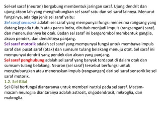 Sel-sel saraf (neuron) bergabung membentuk jaringan saraf. Ujung dendrit dan 
ujung akson lah yang menghubungkan sel saraf satu dan sel saraf lainnya. Menurut 
fungsinya, ada tiga jenis sel saraf yaitu: 
Sel saraf sensorik adalah sel saraf yang mempunyai fungsi menerima rangsang yang 
datang kepada tubuh atau panca indra, dirubah menjadi impuls (rangsangan) saraf, 
dan meneruskannya ke otak. Badan sel saraf ini bergerombol membentuk ganglia, 
akson pendek, dan dendritnya panjang. 
Sel saraf motorik adalah sel saraf yang mempunyai fungsi untuk membawa impuls 
saraf dari pusat saraf (otak) dan sumsum tulang belakang menuju otot. Sel saraf ini 
mempunyai dendrit yang pendek dan akson yang panjang. 
Sel saraf penghubung adalah sel saraf yang banyak terdapat di dalam otak dan 
sumsum tulang belakang. Neuron (sel saraf) tersebut berfungsi untuk 
menghubungkan atau meneruskan impuls (rangsangan) dari sel saraf sensorik ke sel 
saraf motorik. 
1.2. Sel Glial 
Sel Glial berfungsi diantaranya untuk memberi nutrisi pada sel saraf. Macam-macam 
neuroglia diantaranya adalah astrosit, oligodendrosit, mikroglia, dan 
makroglia. 
 