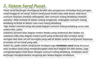 2. Sistem Saraf Pusat 
Pusat saraf berfungsi memegang kendali dan pengaturan terhadap kerja jaringan 
saraf hingga ke sel saraf. Sistem saraf pusat terdiri atas otak besar, otak kecil, 
sumsum lanjutan (medula oblongata), dan sumsum tulang belakang (medula 
spinalis). Otak terletak di dalam tulang tengkorak, sedangkan sumsum tulang 
belakang terletak di dalam ruas-ruas tulang belakang. 
Tiga materi esensial yang ada pada bagian sumsum tulang belakang serta otak 
antara lain, yaitu: 
Substansi grissea atau bagian materi kelabu yang terbentuk dari badan sel. 
Substansi alba atau bagian materi putih yang terbentuk dari serabut saraf. 
Jaringan ikat atau sel-sel neuroglia yang ada di dalam system saraf pusat tepatnya 
di antara sel-sel saraf yang ada. 
Selain itu, pada sistem saraf pusat terdapat juga Jembatan varol yang tersusun 
atas serabut saraf yang menghubungkan otak kecil bagian kiri dan kanan, juga 
menghubungkan otak besar dengan sumsum tulang belakang. Jembatan varol 
berfungsi menghantarkan rangsang dari kedua bagian serebelum. 
 
