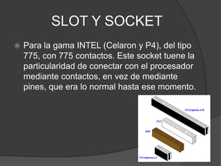 SLOT Y SOCKET
   Para la gama INTEL (Celaron y P4), del tipo
    775, con 775 contactos. Este socket tuene la
    particularidad de conectar con el procesador
    mediante contactos, en vez de mediante
    pines, que era lo normal hasta ese momento.
 