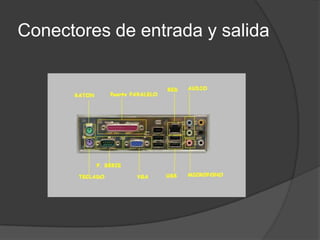 Conectores de entrada y salida
 