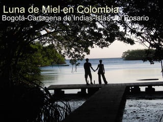 Luna de Miel en Colombia Bogotá-Cartagena de Indias-Islas del Rosario 