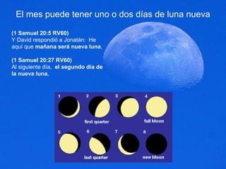 El mes puede tener uno o dos días de luna nueva (1 Samuel 20:5 RV60) Y David respondió a Jonatán:  He aquí que  mañana será nueva luna ,  (1 Samuel 20:27 RV60) Al siguiente día,  el segundo día de la nueva luna ,  