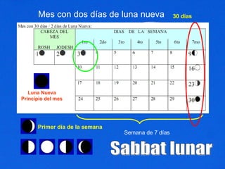 Mes con dos días de luna nueva 30 días Semana de 7 días Sabbat lunar Primer día de la semana Luna Nueva Principio del mes 