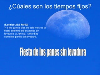 ¿Cúales son los tiempos fijos? (Levítico 23:6 RV60) Y a los quince días de este mes es la fiesta solemne de los panes sin levadura  a Jehová;  siete días comeréis panes sin levadura.  Fiesta de los panes sin levadura 