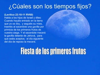 ¿Cúales son los tiempos fijos? (Levítico 23:10-11 RV60) Habla a los hijos de Israel y diles:  Cuando hayáis entrado en la tierra que yo os doy,  y seguéis su mies,  traeréis al sacerdote una gavilla por primicia de los primeros frutos de vuestra siega. Y el sacerdote mecerá la gavilla delante de Jehová,  para que seáis aceptos;  el día siguiente del día de reposo la mecerá.  Fiesta de los primeros frutos 