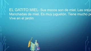 EL GATITO MIEL- Sus mocos son de miel. Las oreja
Manchadas de miel. Es muy juguetón. Tiene mucho pe
Vive en el jardín
 