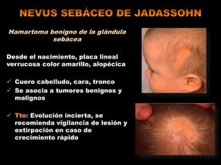 Hamartoma benigno de la glándula
sebácea
Desde el nacimiento, placa lineal
verrucosa color amarillo, alopécica
 Cuero cabelludo, cara, tronco
 Se asocia a tumores benignos y
malignos
 Tto: Evolución incierta, se
recomienda vigilancia de lesión y
extirpación en caso de
crecimiento rápido
 