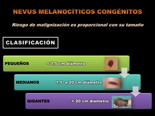 Riesgo de malignización es proporcional con su tamaño
PEQUEÑOS < 1.5 cm diámetro
MEDIANOS 1.5 a 20 cm diámetro
GIGANTES > 20 cm diámetro
 