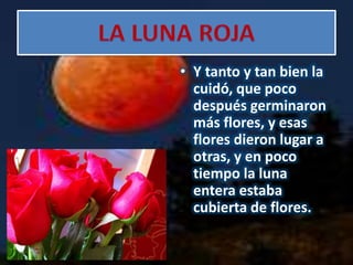 • Y tanto y tan bien la
cuidó, que poco
después germinaron
más flores, y esas
flores dieron lugar a
otras, y en poco
tiempo la luna
entera estaba
cubierta de flores.