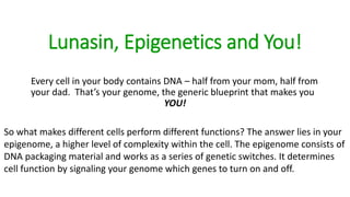 Every cell in your body contains DNA – half from your mom, half
from your dad. That’s your genome, the generic blueprint that
makes you YOU!
So what makes different cells perform different functions? The
answer lies in your epigenome, a higher level of complexity
within the cell. The epigenome consists of DNA packaging
material and works as a series of genetic switches. It determines
cell function by signaling your genome which genes to turn on
and off.
 