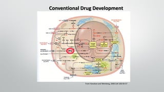 Conventional Drug Development
From Hanahan and Weinberg, 2000 Cell 100:50-57
 