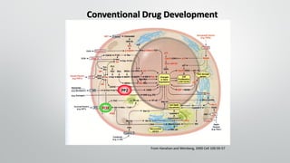 PP2
PI3K
Conventional Drug Development
From Hanahan and Weinberg, 2000 Cell 100:50-57
 