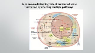 Lunasin as a dietary ingredient prevents disease
formation by affecting multiple pathways
 