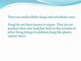 There are multicellular fungi and unicellular ones.
Fungi do not have tissues or organs .They do not
produce their onw food,but feed on the remains of
other living things.In addition,fungi,like plants,
cannot move.
 