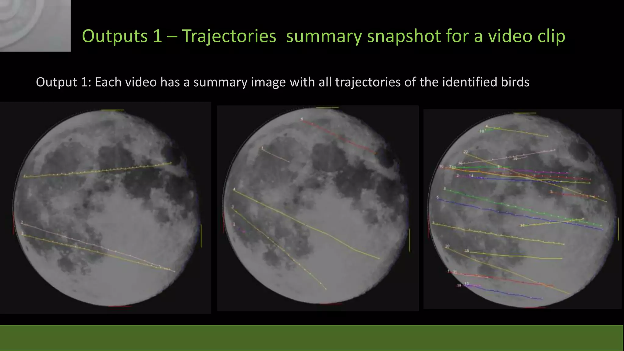 Outputs 1 – Trajectories summary snapshot for a video clip
Output 1: Each video has a summary image with all trajectories of the identified birds

 