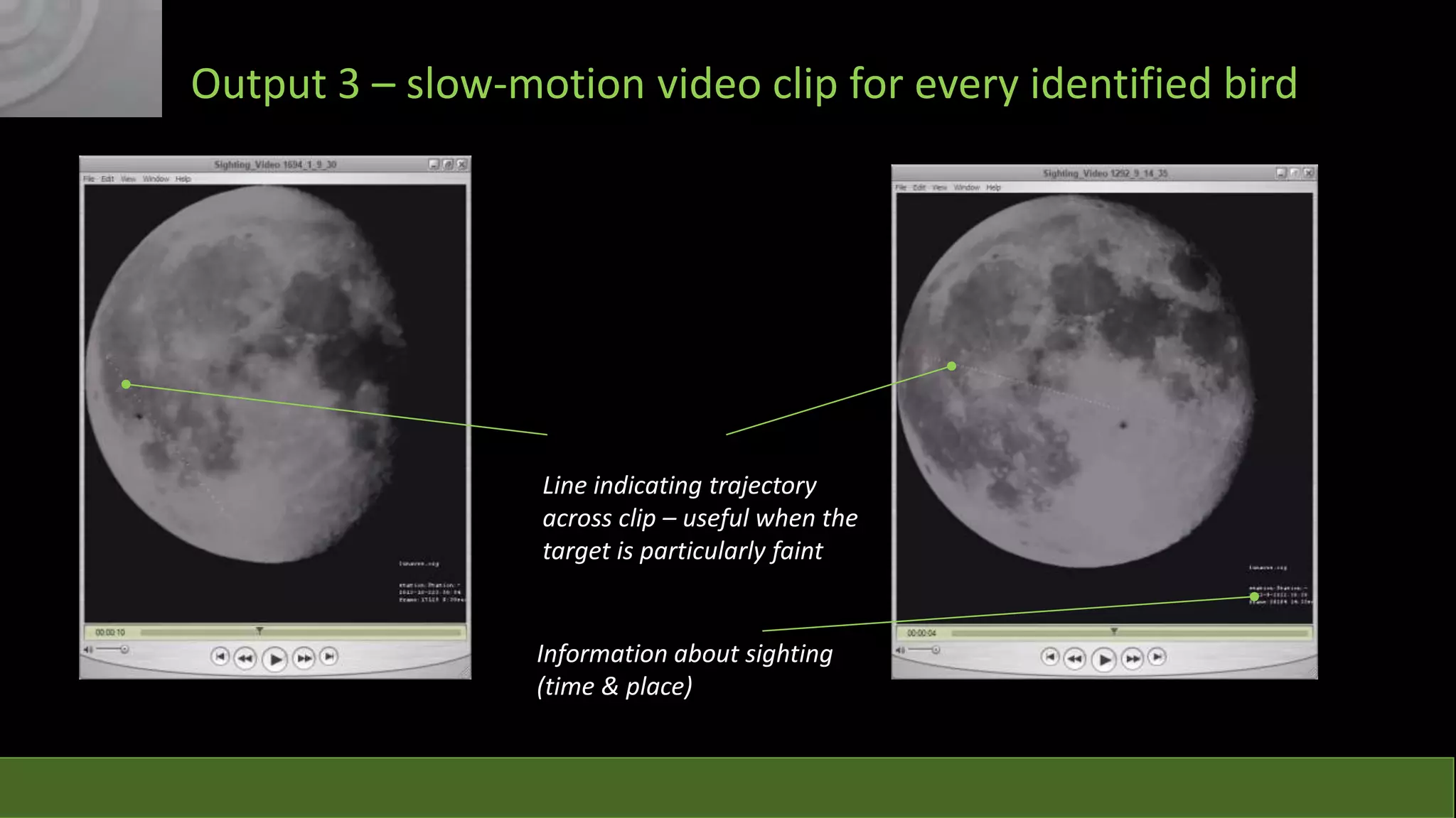 Output 3 – slow-motion video clip for every identified bird

Line indicating trajectory
across clip – useful when the
target is particularly faint

Information about sighting
(time & place)

 