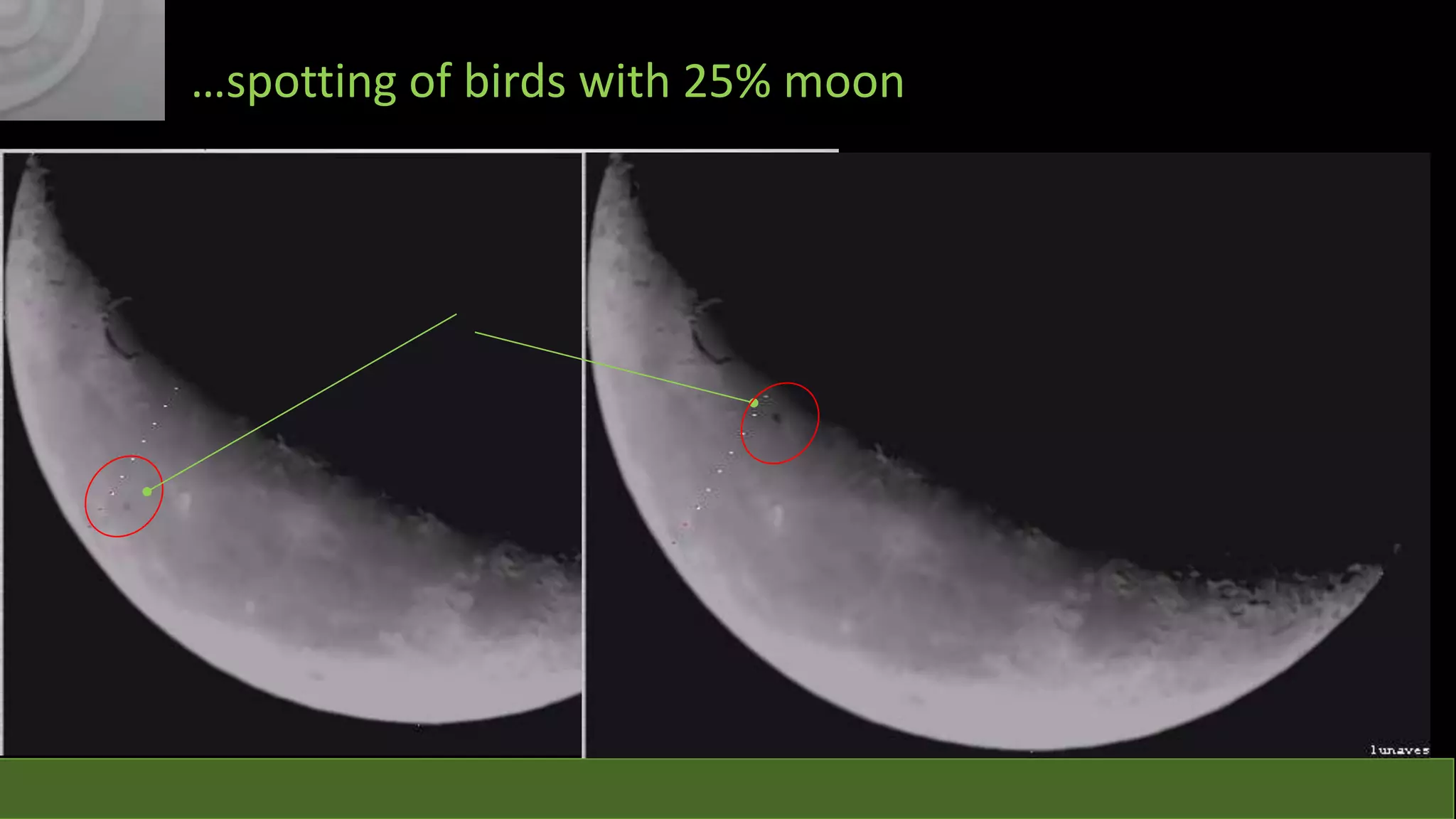 …spotting of birds with 25% moon

 