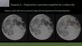 Outputs 1 – Trajectories summary snapshot for a video clip
Output 1: Each video has a summary image with all trajectories of the identified birds

 