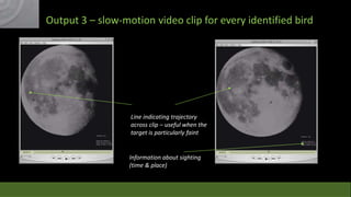 Output 3 – slow-motion video clip for every identified bird

Line indicating trajectory
across clip – useful when the
target is particularly faint

Information about sighting
(time & place)

 