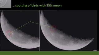 …spotting of birds with 25% moon

 
