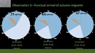 Observation 3– Punctual arrival of autumn migrants

47 sightings

73 sightings
72 sightings

44 sightings
45 sightings

14-09-2013

20-09-2013

21-09-2013

20:52 - 00:56

22:08- 05:00

21:59 - 05:10

Hamrun

Hamrun

Hamrun

73 sightings

 