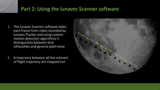 Part 2: Using the lunaves Scanner software
1. The lunaves Scanner software takes
each frame from video recorded by
lunaves Tracker and using custom
motion detection algorithms it
distinguishes between bird
silhouettes and general pixel noise
2. A trajectory between all the relevant
of flight trajectory are mapped out

 