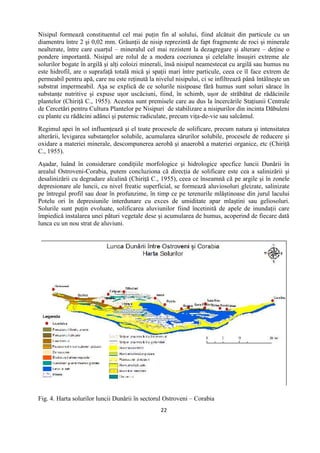 22
Nisipul formează constituentul cel mai puţin fin al solului, fiind alcătuit din particule cu un
diamentru între 2 şi 0,02 mm. Grăunţii de nisip reprezintă de fapt fragmente de roci şi minerale
nealterate, între care cuarţul – mineralul cel mai rezistent la dezagregare şi alterare – deţine o
pondere importantă. Nisipul are rolul de a modera coeziunea şi celelalte însuşiri extreme ale
solurilor bogate în argilă şi alţi coloizi minerali, însă nisipul neamestecat cu argilă sau humus nu
este hidrofil, are o suprafaţă totală mică şi spaţii mari între particule, ceea ce îl face extrem de
permeabil pentru apă, care nu este reţinută la nivelul nisipului, ci se infiltrează până întâlneşte un
substrat impermeabil. Aşa se explică de ce solurile nisipoase fără humus sunt soluri sărace în
substanţe nutritive şi expuse uşor uscăciuni, fiind, în schimb, uşor de străbătut de rădăcinile
plantelor (Chiriţă C., 1955). Acestea sunt premisele care au dus la încercările Staţiunii Centrale
de Cercetări pentru Cultura Plantelor pe Nisipuri de stabilizare a nisipurilor din incinta Dăbuleni
cu plante cu rădăcini adânci şi puternic radiculate, precum viţa-de-vie sau salcâmul.
Regimul apei în sol influenţează şi el toate procesele de solificare, precum natura şi intensitatea
alterării, levigarea substanţelor solubile, acumularea sărurilor solubile, procesele de reducere şi
oxidare a materiei minerale, descompunerea aerobă şi anaerobă a materiei organice, etc (Chiriţă
C., 1955).
Aşadar, luând în considerare condiţiile morfologice şi hidrologice specfice luncii Dunării în
arealul Ostroveni-Corabia, putem concluziona că direcţia de solificare este cea a salinizării şi
desalinizării cu degradare alcalină (Chiriţă C., 1955), ceea ce înseamnă că pe argile şi în zonele
depresionare ale luncii, cu nivel freatic superficial, se formează aluviosoluri gleizate, salinizate
pe întregul profil sau doar în profunzime, în timp ce pe terenurile mlăştinoase din jurul lacului
Potelu ori în depresiunile interdunare cu exces de umiditate apar mlaştini sau geliosoluri.
Solurile sunt puţin evoluate, solificarea aluviunilor fiind încetinită de apele de inundaţii care
împiedică instalarea unei pături vegetale dese şi acumularea de humus, acoperind de fiecare dată
lunca cu un nou strat de aluviuni.
Fig. 4. Harta solurilor luncii Dunării în sectorul Ostroveni – Corabia
 