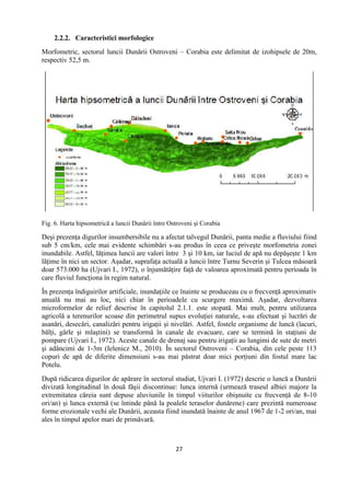 27
2.2.2. Caracteristici morfologice
Morfometric, sectorul luncii Dunării Ostroveni – Corabia este delimitat de izohipsele de 20m,
respectiv 52,5 m.
Fig. 6. Harta hipsometrică a luncii Dunării între Ostroveni şi Corabia
Deşi prezenţa digurilor insumbersibile nu a afectat talvegul Dunării, panta medie a fluviului fiind
sub 5 cm/km, cele mai evidente schimbări s-au produs în ceea ce priveşte morfometria zonei
inundabile. Astfel, lăţimea luncii are valori între 3 şi 10 km, iar luciul de apă nu depăşeşte 1 km
lăţime în nici un sector. Aşadar, suprafaţa actuală a luncii între Turnu Severin şi Tulcea măsoară
doar 573.000 ha (Ujvari I., 1972), o înjumătăţire faţă de valoarea aproximată pentru perioada în
care fluviul funcţiona în regim natural.
În prezenţa îndiguirilor artificiale, inundaţiile ce înainte se produceau cu o frecvenţă aproximativ
anuală nu mai au loc, nici chiar în perioadele cu scurgere maximă. Aşadar, dezvoltarea
microformelor de relief descrise în capitolul 2.1.1. este stopată. Mai mult, pentru utilizarea
agricolă a terenurilor scoase din perimetrul supus evoluţiei naturale, s-au efectuat şi lucrări de
asanări, desecări, canalizări pentru irigaţii şi nivelări. Astfel, fostele organisme de luncă (lacuri,
bălţi, gârle şi mlaştini) se transformă în canale de evacuare, care se termină în staţiuni de
pompare (Ujvari I., 1972). Aceste canale de drenaj sau pentru irigaţii au lungimi de sute de metri
şi adâncimi de 1-3m (Ielenicz M., 2010). În sectorul Ostroveni – Corabia, din cele peste 113
copuri de apă de diferite dimensiuni s-au mai păstrat doar mici porţiuni din fostul mare lac
Potelu.
După ridicarea digurilor de apărare în sectorul studiat, Ujvari I. (1972) descrie o luncă a Dunării
divizată longitudinal în două fâşii discontinue: lunca internă (urmează traseul albiei majore la
extremitatea căreia sunt depuse aluviunile în timpul viiturilor obişnuite cu frecvenţă de 8-10
ori/an) şi lunca externă (se întinde până la poalele teraselor dunărene) care prezintă numeroase
forme erozionale vechi ale Dunării, aceasta fiind inundată înainte de anul 1967 de 1-2 ori/an, mai
ales în timpul apelor mari de primăvară.
 