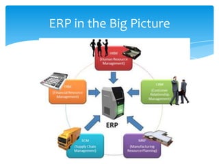 ERP in the Big Picture
 