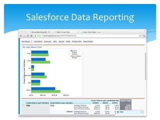 Salesforce Data Reporting
 