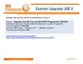 Java 8, tópicos de estudio para el examen upgrade | PDF