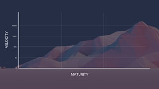 0
10
100
1000
VELOCITY
MATURITY
10000
 