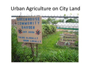 Urban Agriculture on City Land
 