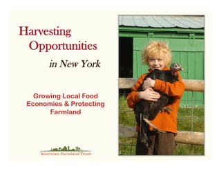 Harvesting
 Opportunities
       in New York


   Growing Local Food
 Economies & Protecting
       Farmland
 