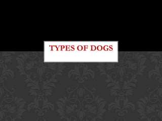 TYPES OF DOGS
 