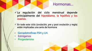 Hormonas…
 La regulación del ciclo menstrual depende
principalmente del hipotálamo, la hipófisis y los
ovarios.
 En todo este ciclo (ovulación, pre y post ovulación y regla)
están implicadas una serie de hormona
• Gonadotrofinas FSH y LH.
• Estrógenos
• Progesterona
 