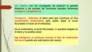 Los Ovarios: son los encargados de producir el gameto
femenino y de secretar las hormonas sexuales femeninas
estrógeno y progesterona.
Estrógenos: Estimulan al útero para que construya un fino
revestimiento (endometrio) para poder alojar al óvulo
fecundado e iniciar así el embarazo.
Sin el endometrio, el óvulo fecundado no quedaría alojado en
el útero y no podría crecer.
Los estrógenos se producen durante la fase de maduración
del óvulo (cuando aún está dentro del ovario).
 