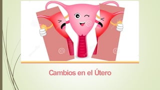 Cambios en el Útero
 