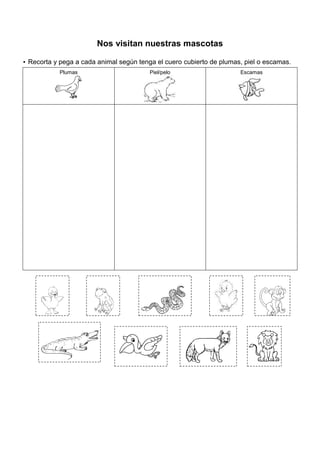 Nos visitan nuestras mascotas
 Recorta y pega a cada animal según tenga el cuero cubierto de plumas, piel o escamas.
Plumas Piel/pelo Escamas
 