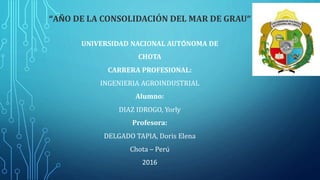 “AÑO DE LA CONSOLIDACIÓN DEL MAR DE GRAU”
UNIVERSIDAD NACIONAL AUTÓNOMA DE
CHOTA
CARRERA PROFESIONAL:
INGENIERIA AGROINDUSTRIAL
Alumno:
DIAZ IDROGO, Yorly
Profesora:
DELGADO TAPIA, Doris Elena
Chota – Perú
2016
 
