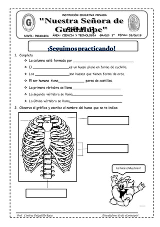 Prof. Cinthya Delgadillo Rojas ¡Triunfadores desde el principio!
1. Completa
 La columna está formada por ______________________________
 El __________________es un hueso plano en forma de cuchillo.
 Las _________________son huesos que tienen forma de arco.
 El ser humano tiene_____________ pares de costillas.
 La primera vértebra se llama________________________
 La segunda vértebra se llama_________________________
 La última vértebra se llama__________________________
2. Observa el gráfico y escribe el nombre del hueso que se te indica:
ÁREA: CIENCIA Y TECNOLOGIA FECHA: 01/03/ 19NIVEL: PRIMARIA GRADO: 3º
INSTITUCIÓN EDUCATIVA PRIVADA
GUÍA N° 12
03/06/19
Lo haces ¡Muy bien!
 