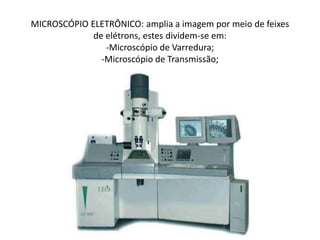 MICROSCÓPIO ELETRÔNICO: amplia a imagem por meio de feixes
de elétrons, estes dividem-se em:
-Microscópio de Varredura;
-Microscópio de Transmissão;