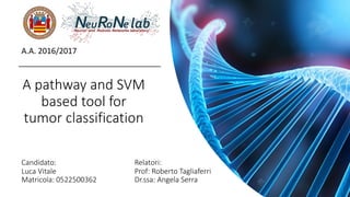 A	pathway	and	SVM	
based	tool	for	
tumor	classification
A.A.	2016/2017
Candidato:
Luca	Vitale
Matricola:	0522500362
Relatori:
Prof:	Roberto	Tagliaferri
Dr.ssa:	Angela	Serra
 