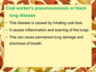 Coal worker's pneumoconiosis or black
lung disease
• This disease is caused by inhaling coal dust.
• It causes inflammation and scarring of the lungs.
• This can cause permanent lung damage and
shortness of breath.
 