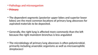 • Pathology and microorganism
• Primary
• The dependent segments (posterior upper lobes and superior lower
lobes) are the most common locations of primary lung abscesses for
aspirated materials to be deposited.
• Generally, the right lung is affected more commonly than the left
because the right mainstem bronchus is less angulated
• The microbiology of primary lung abscesses is often polymicrobial,
primarily including anaerobic organisms as well as microaerophilic
streptococci
 